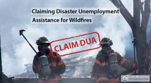 How to claim DUA for the California Wildfires